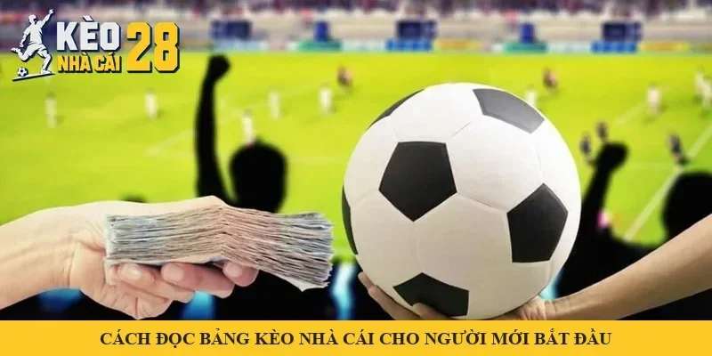 Bàn tay cầm xấp tiền và quả bóng trước khán đài – minh hoạ cách đọc bảng kèo nhà cái