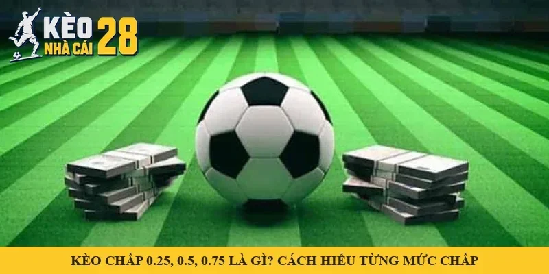 Quả bóng giữa hai chồng tiền trên sân cỏ – minh hoạ mức chấp kèo chấp 0.25, 0.5, 0.75