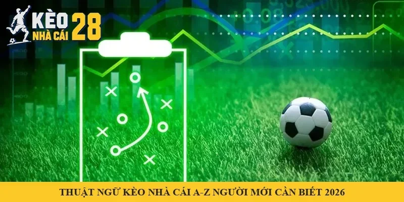 Sơ đồ chiến thuật trên sân cỏ xanh cùng quả bóng – minh hoạ thuật ngữ kèo nhà cái